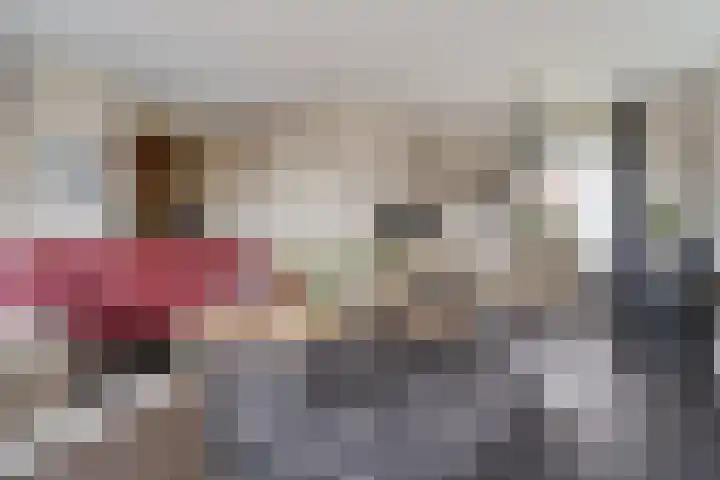 Vlegel 6 Erica thumbnail 11