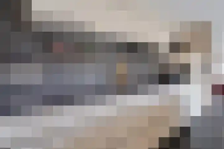 Vlegel 6 Erica thumbnail 16