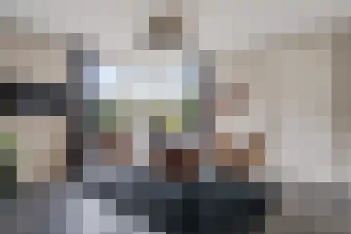 Vlegel 6 Erica thumbnail 18