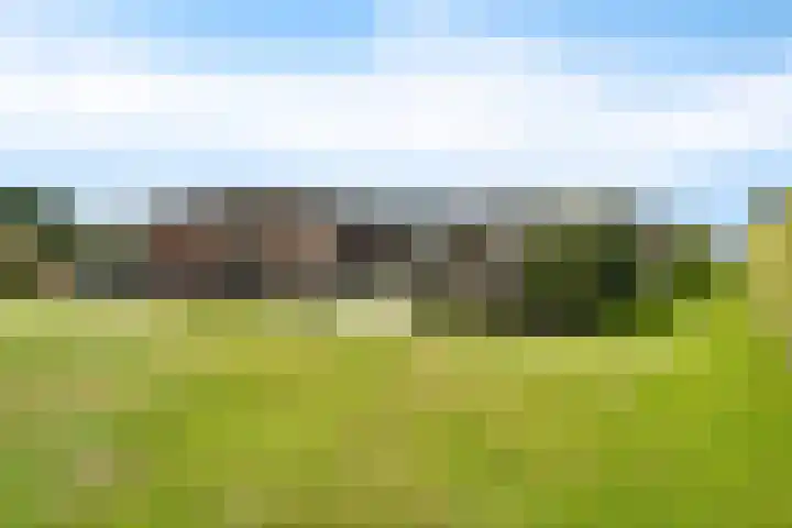 Vlegel 6 Erica thumbnail 31