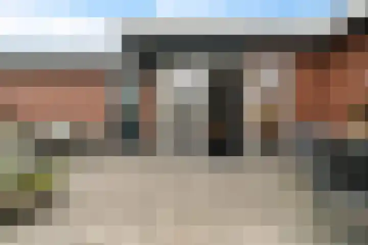 Vlegel 6 Erica thumbnail 33