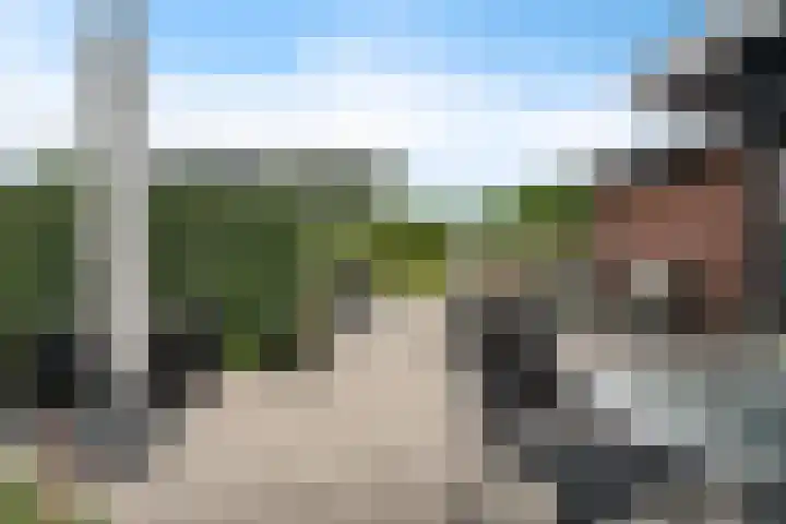 Vlegel 6 Erica thumbnail 34