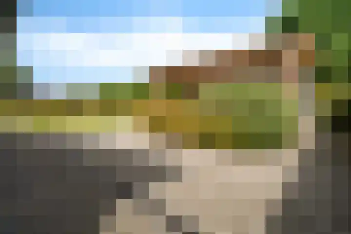Vlegel 6 Erica thumbnail 35