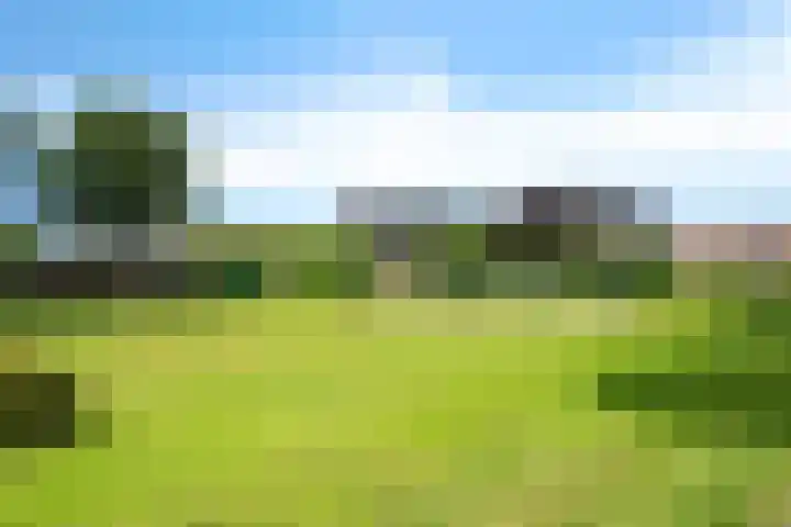 Vlegel 6 Erica thumbnail 40
