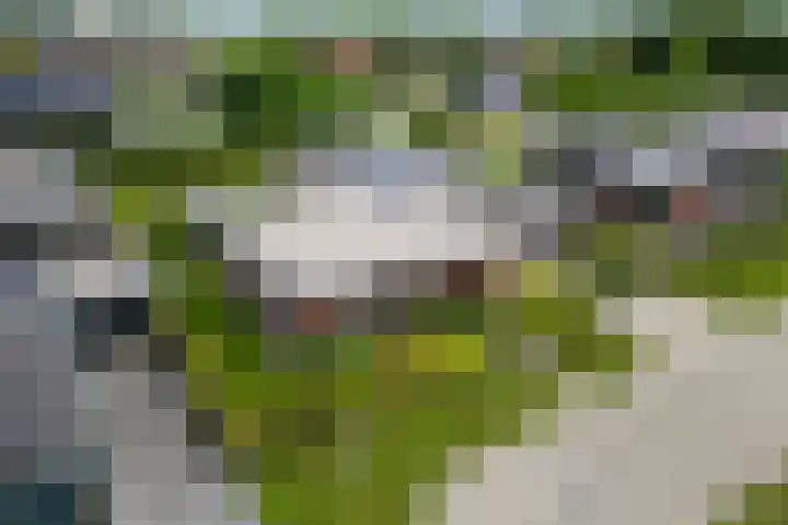 Vlegel 6 Erica thumbnail 43