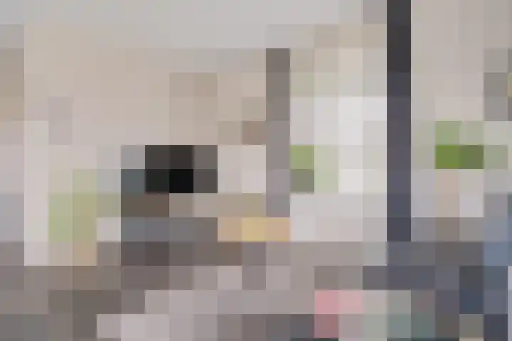 Vlegel 6 Erica thumbnail 9