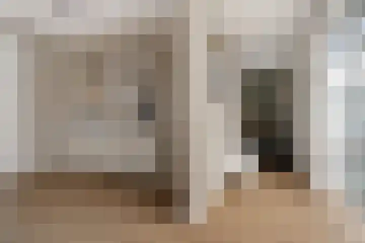 Vlegel 7 Erica thumbnail 15