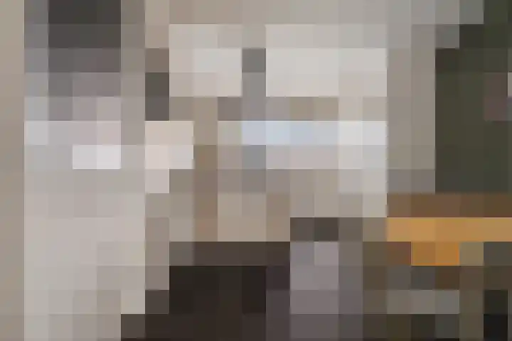 Vlegel 7 Erica thumbnail 18