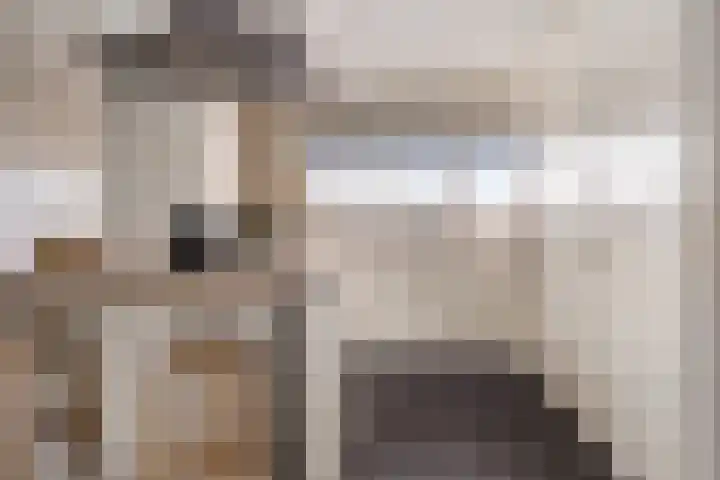 Vlegel 7 Erica thumbnail 19