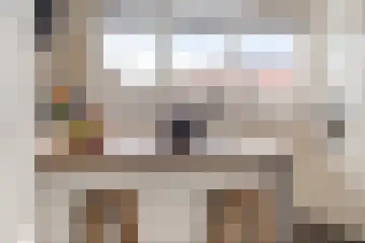 Vlegel 7 Erica thumbnail 20