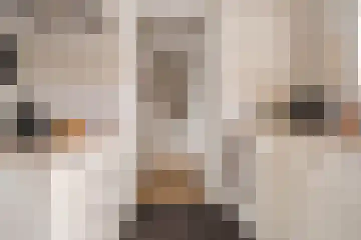 Vlegel 7 Erica thumbnail 25