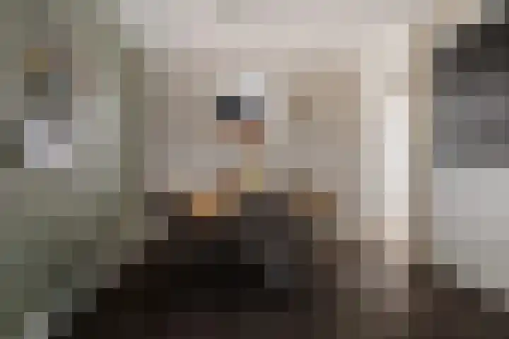 Vlegel 7 Erica thumbnail 27