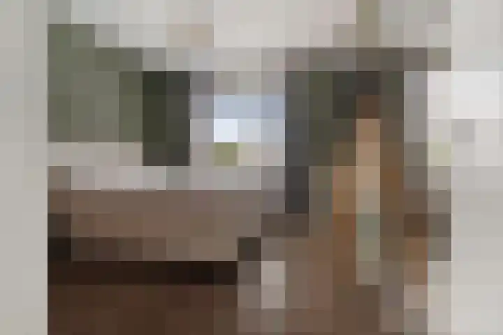 Vlegel 7 Erica thumbnail 33