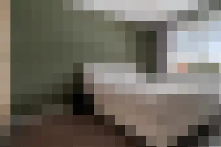 Vlegel 7 Erica thumbnail 34