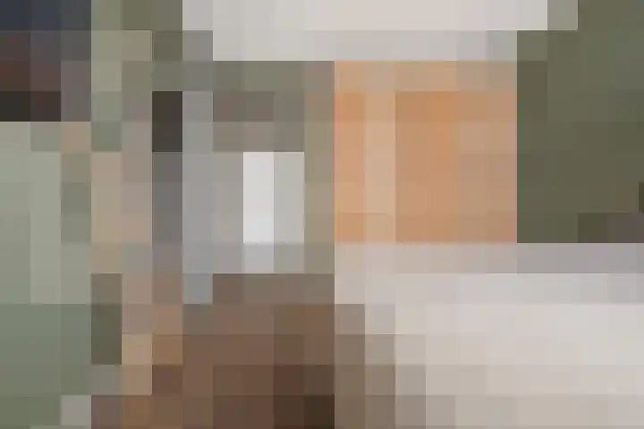Vlegel 7 Erica thumbnail 35