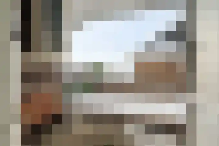 Vlegel 7 Erica thumbnail 37