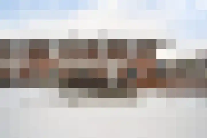 Vlegel 7 Erica thumbnail 4