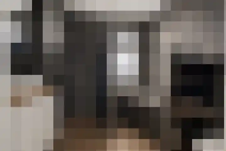Vlegel 7 Erica thumbnail 45