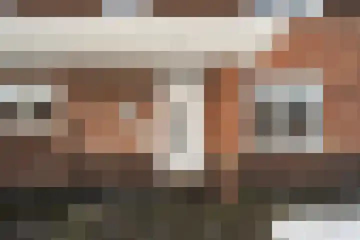 Vlegel 7 Erica thumbnail 5