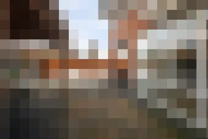 Vlegel 7 Erica thumbnail 51