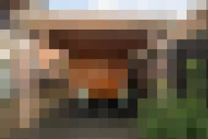 Vlegel 7 Erica thumbnail 52