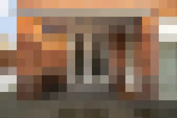 Vlegel 7 Erica thumbnail 53