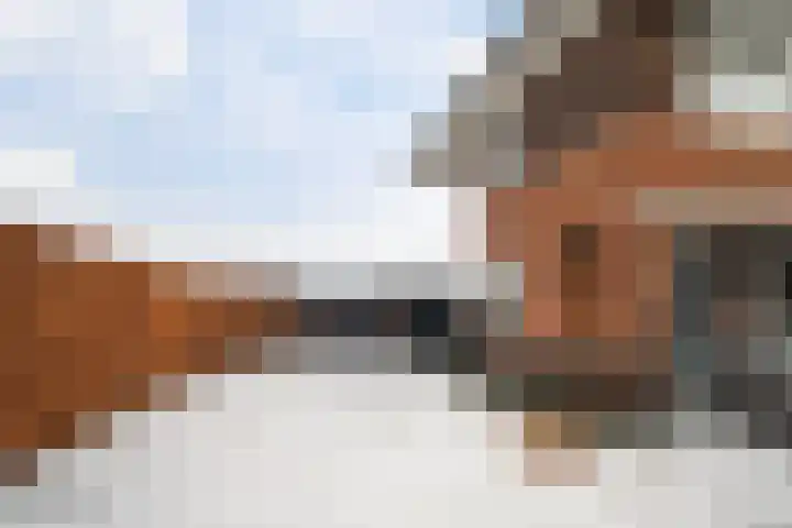 Vlegel 7 Erica thumbnail 54