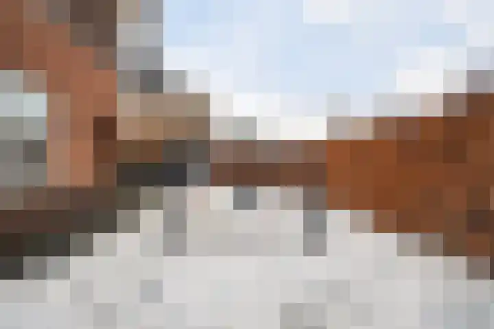 Vlegel 7 Erica thumbnail 55
