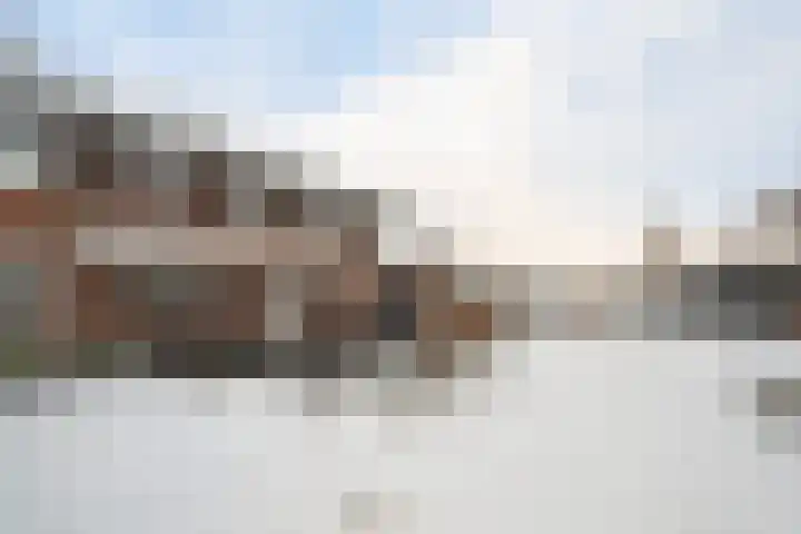 Vlegel 7 Erica thumbnail 56