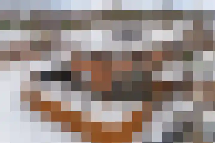 Vlegel 7 Erica thumbnail 57
