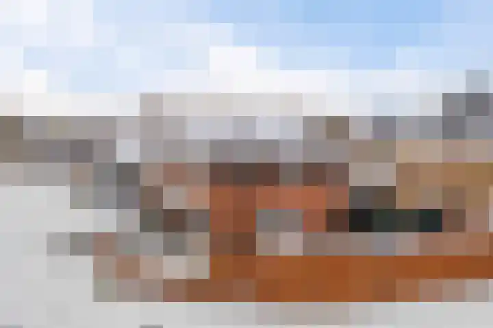 Vlegel 7 Erica thumbnail 58