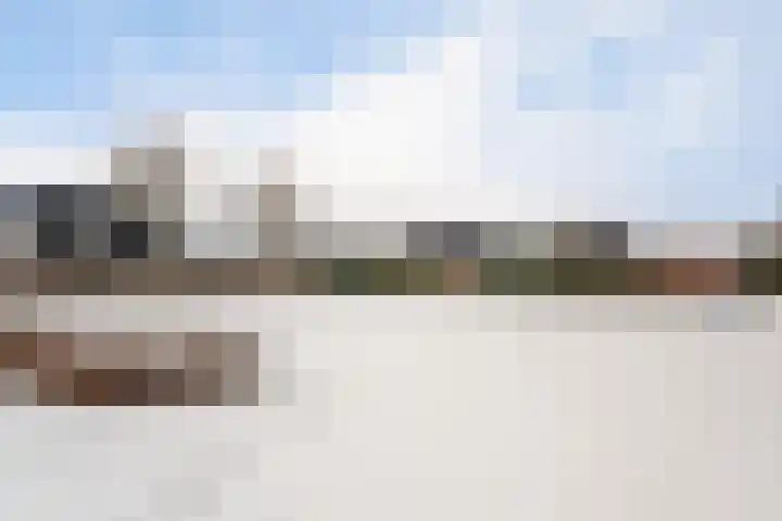 Vlegel 7 Erica thumbnail 59