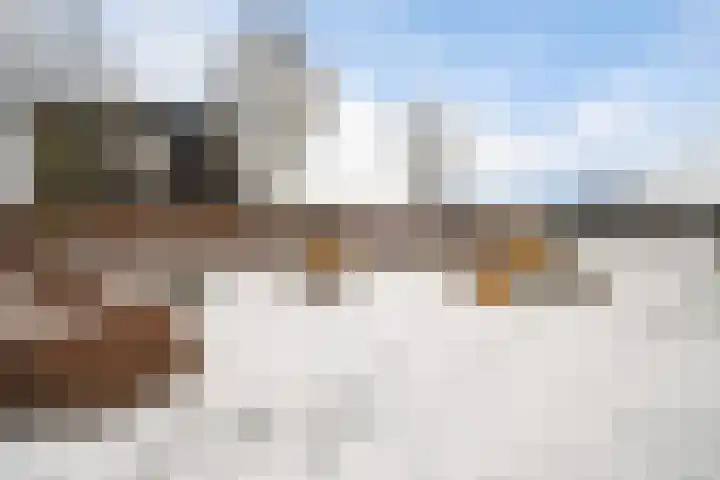 Vlegel 7 Erica thumbnail 60
