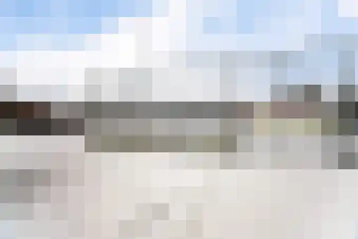 Vlegel 7 Erica thumbnail 61