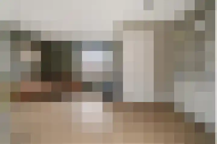 Vlegel 7 Erica thumbnail 8