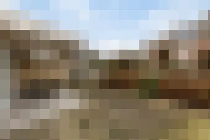 Vleistweg 3 Someren thumbnail 31
