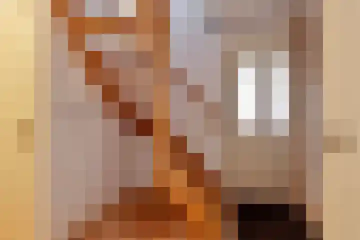 Vleistweg 3 Someren thumbnail 5