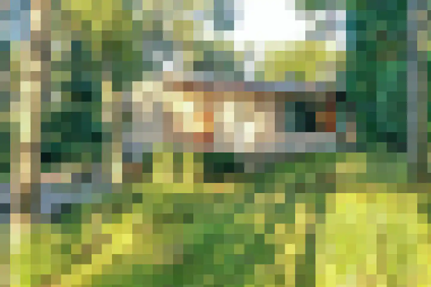 Vlekkenkamp 20 Landgraaf thumbnail 58