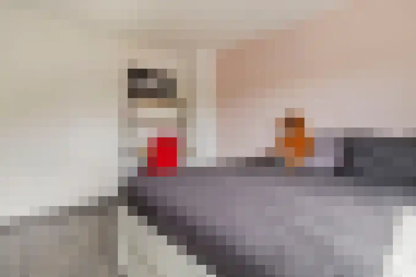 Vlengendaal 15 Bocholtz thumbnail 16