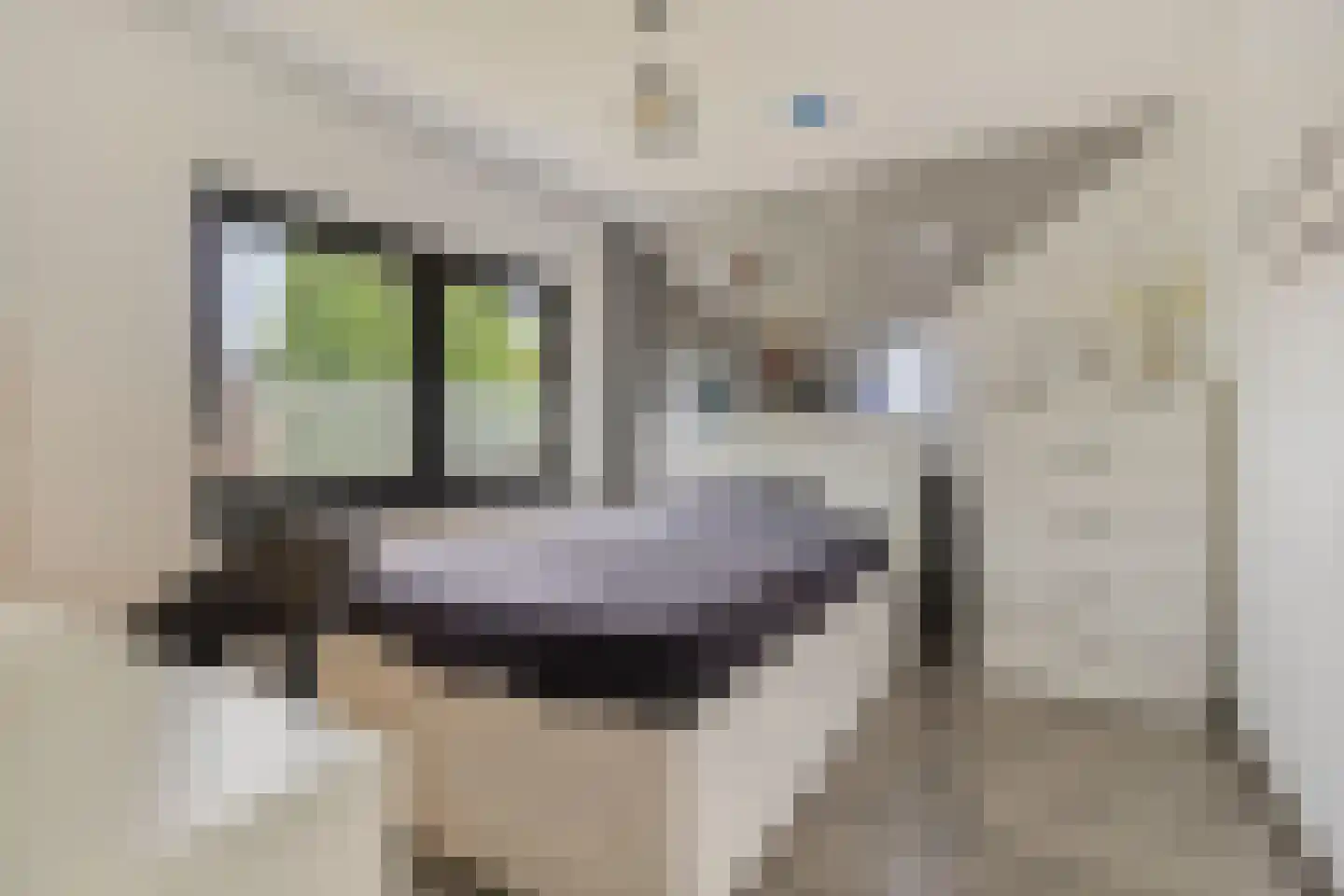 Vlengendaal 15 Bocholtz thumbnail 18