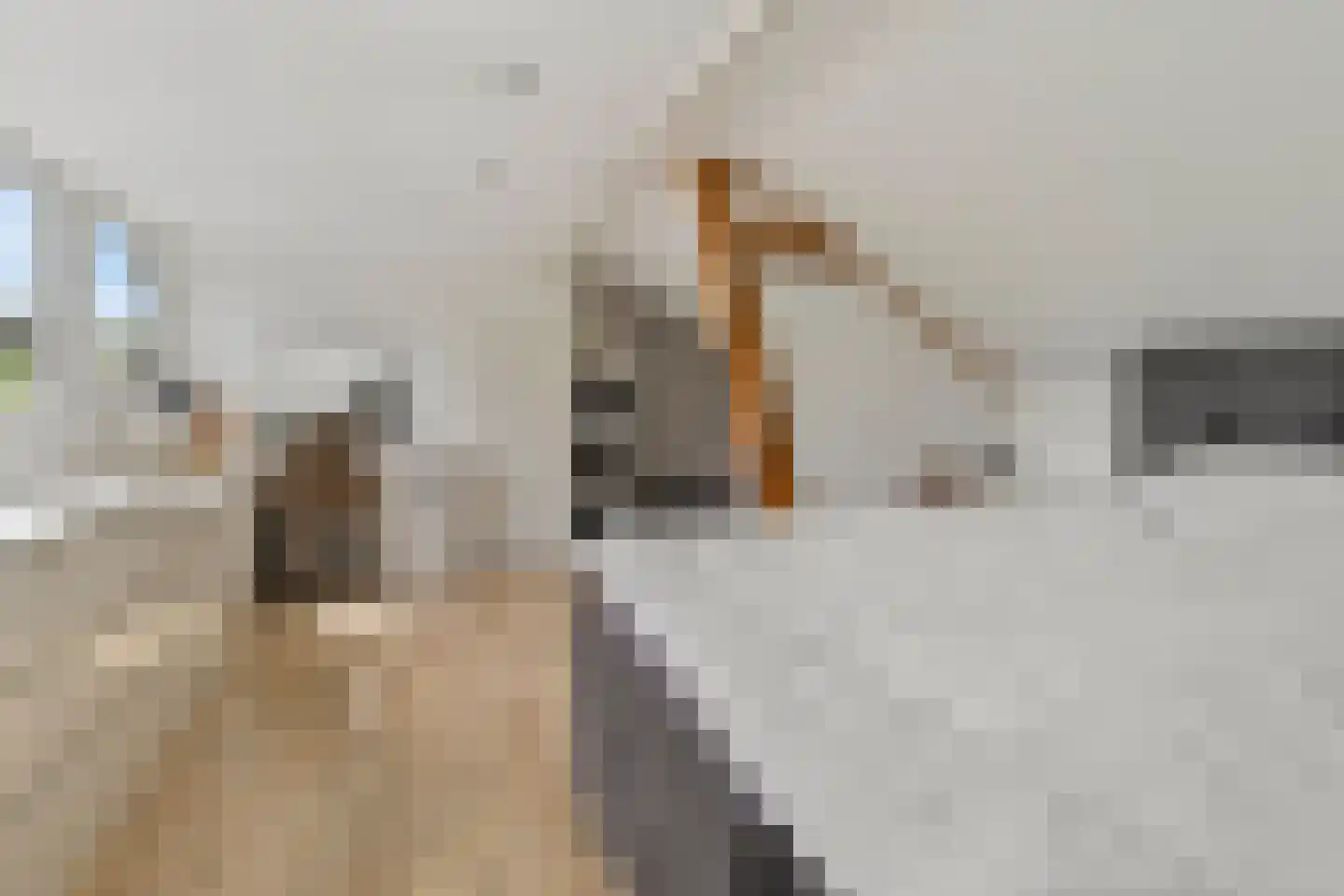 Vlengendaal 15 Bocholtz thumbnail 24