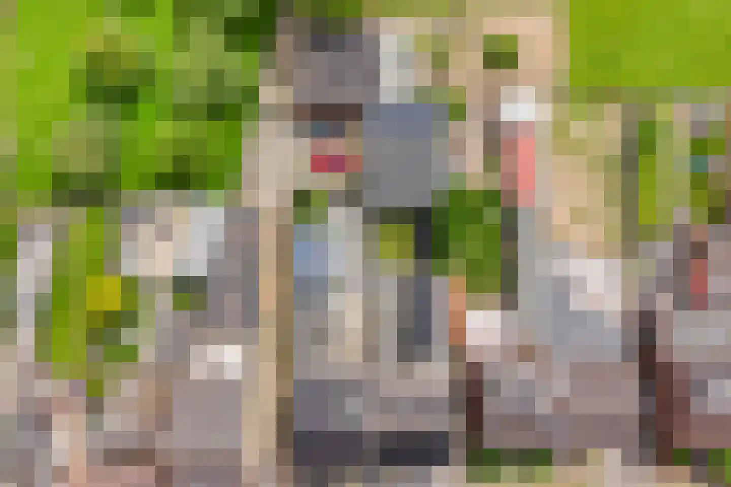 Vlengendaal 15 Bocholtz thumbnail 25