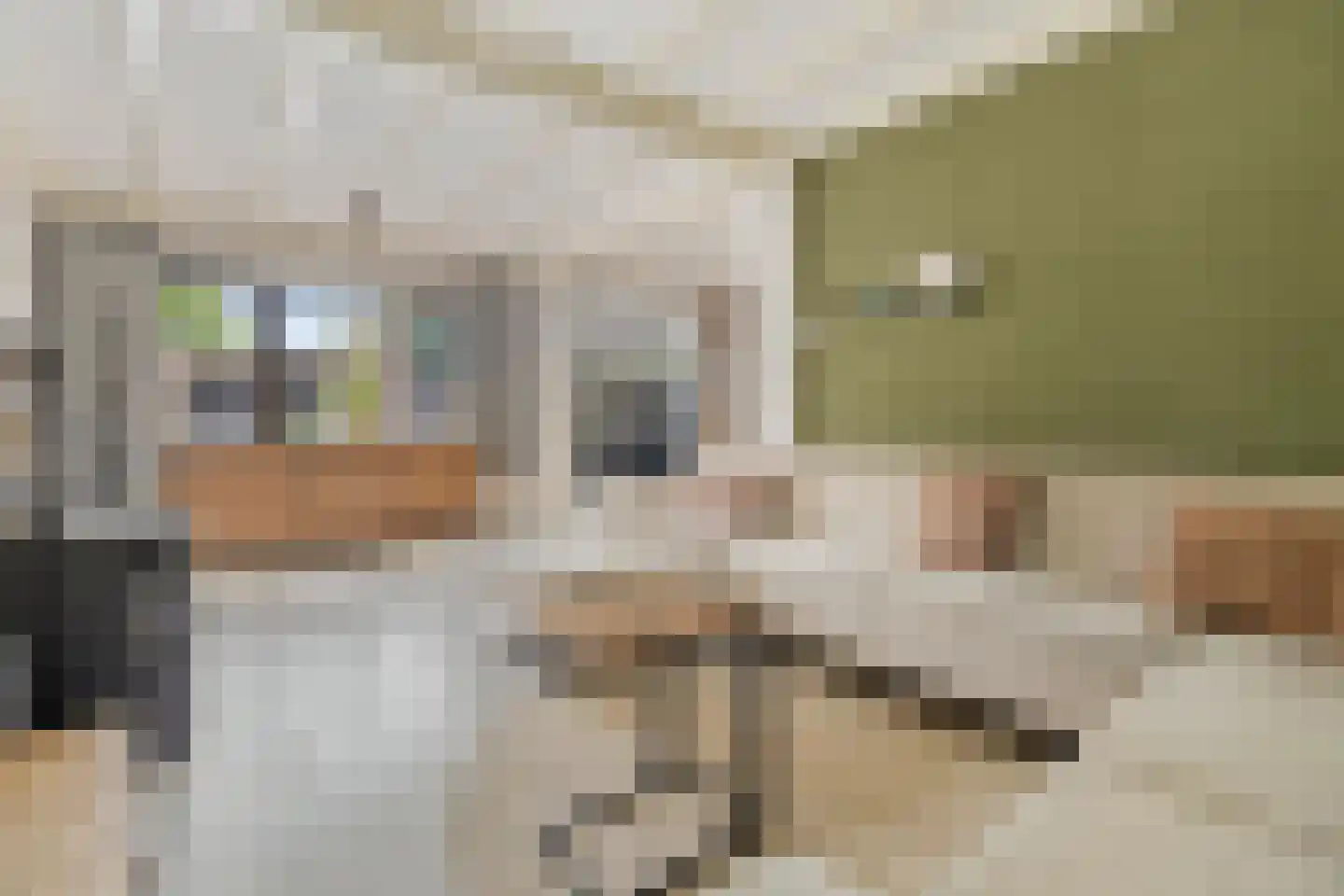 Vlengendaal 15 Bocholtz thumbnail 4