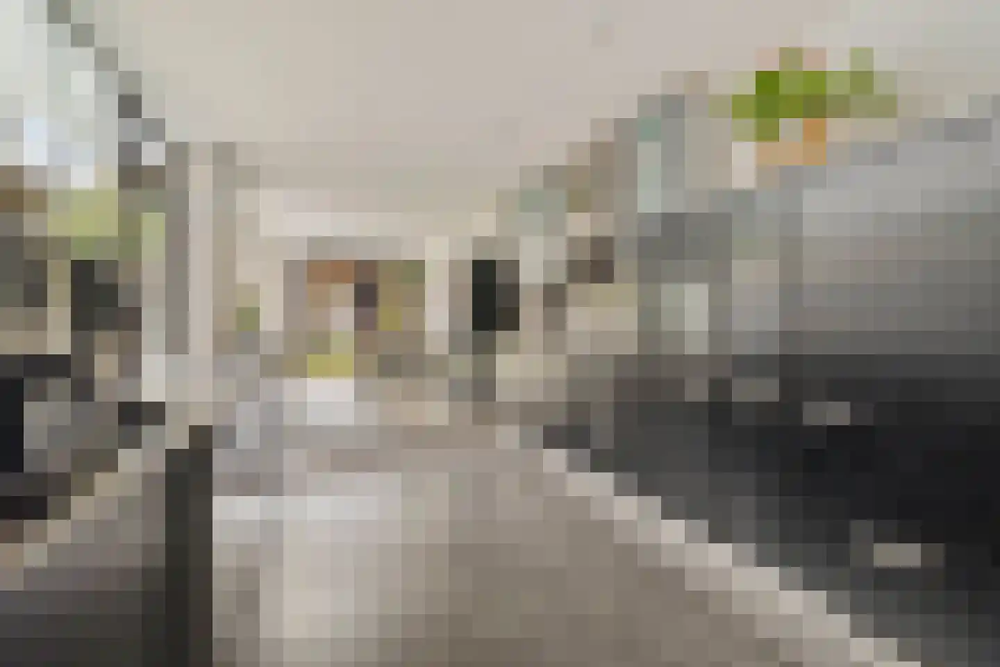 Vlengendaal 15 Bocholtz thumbnail 7