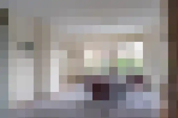 Vlet 1 Werkendam thumbnail 15