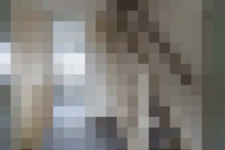 Vlet 1 Werkendam thumbnail 17