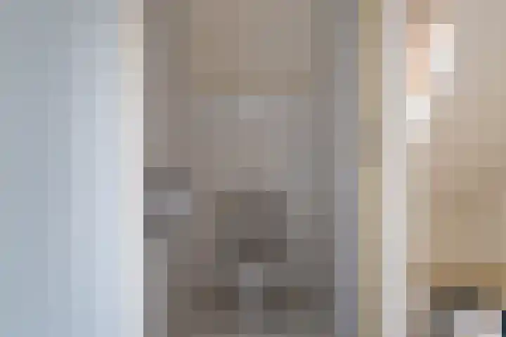 Vlet 1 Werkendam thumbnail 19