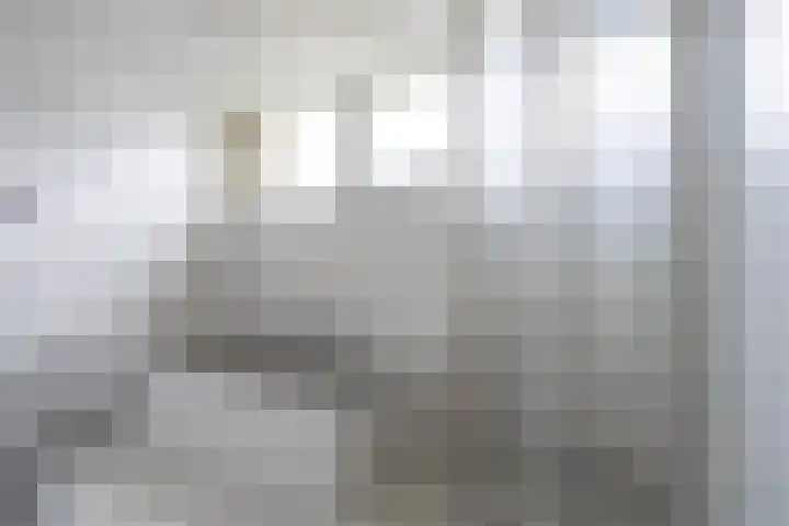 Vlet 1 Werkendam thumbnail 25
