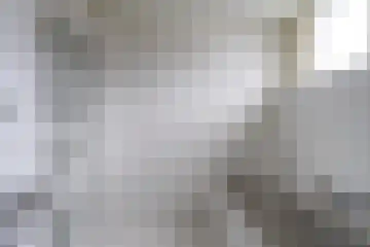 Vlet 1 Werkendam thumbnail 26