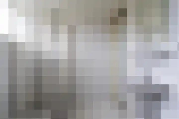Vlet 1 Werkendam thumbnail 27
